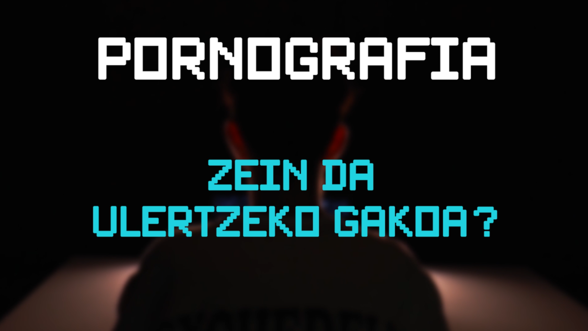 pornografia: zein da gakoa?